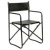 Mana Directors Chair - steel & leather