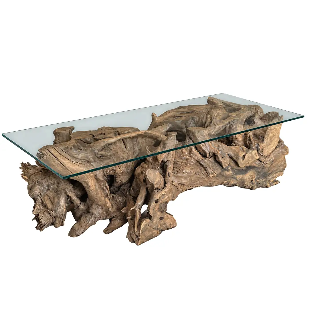 Acacia Tree Root Coffee Table