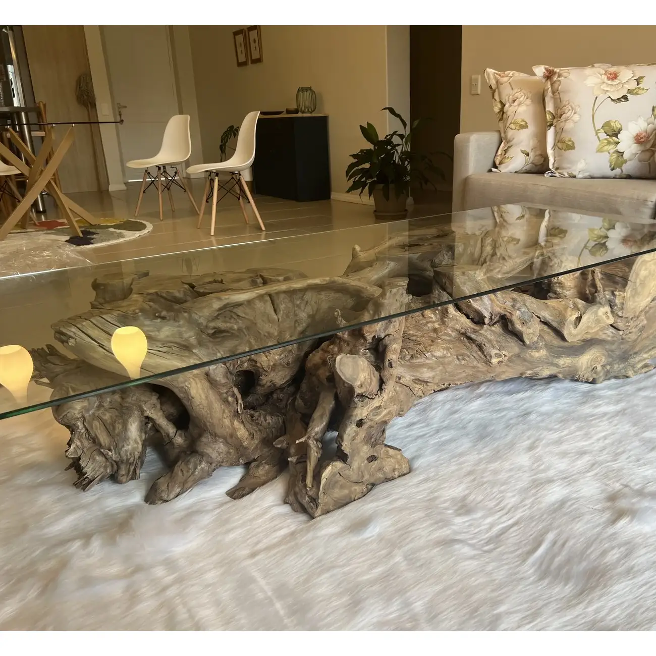 Acacia Tree Root Coffee Table