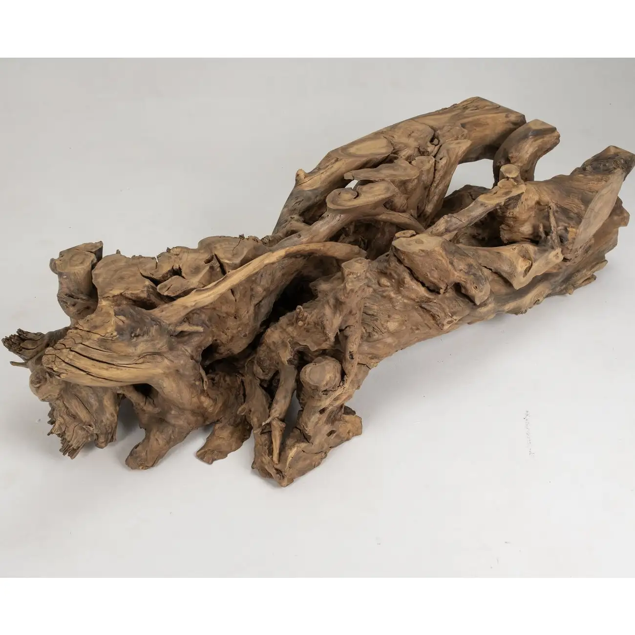 Acacia Tree Root Coffee Table